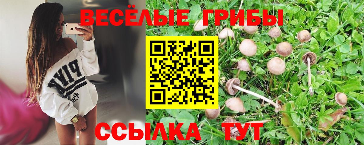 Галлюциногенные грибы Cubensis Красноармейск